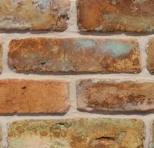 PL32 Rozavi Zloty - Rdzawy